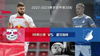 线上随时随地玩-霍芬海姆事件